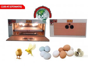 mesin tetas telur otomatis